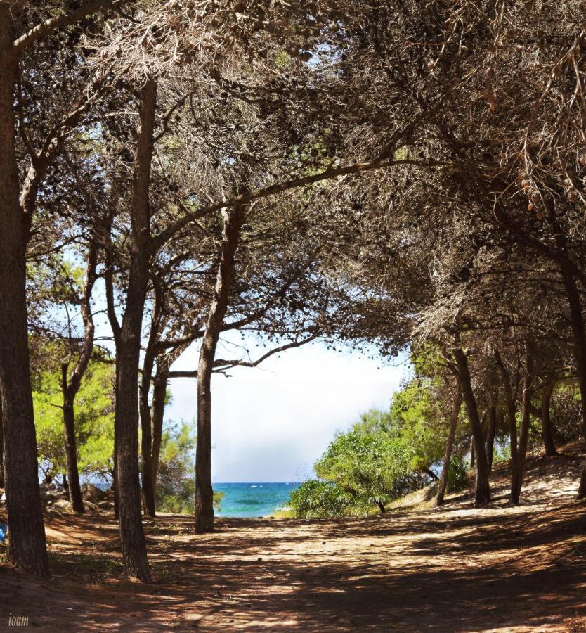 Appartamenti Rivabella D Gallipoli Bagian luar foto